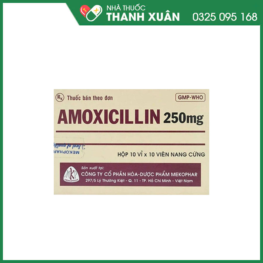 Amoxicillin 250mg Mekophar thuốc kháng sinh điều trị nhiễm khuẩn hô hấp, đường mật, tiêu hoá, tiết niệu - sinh dục và nhiễm khuẩn da